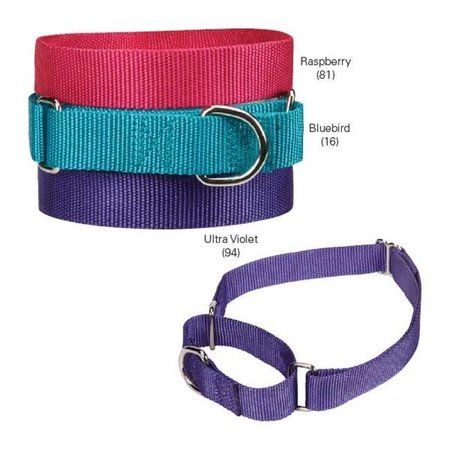 GUARDIAN SURVIVAL GEAR Guardian Gear ZA1524 14 81 GG Nylon Martingale Cllr 14-20 In Raspberry ZA1524 14 81